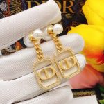 Dior Tribal Earrings Gold For Women
