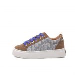 Dior CD Tremaine Emory Dior Denim Tears Sneakers Brown And Grey For Women