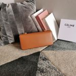 Celine Chain Shoulder Bag Triomphe In Shiny Black Gold Tone/Brown/Balck Sliver Tone For Women‎ 13in/33cm