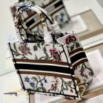 Christian Dior Small Dior Tote Bag White For Women 10.5 in/ 26.5cm