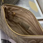 Dior Lagre Dior Caro Daily Pouch Pink/Black/Blue/Brown For Women‎ 12in/30cm CD S5086UWHC_M81P
