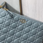 Dior Lagre Dior Caro Daily Pouch Pink/Black/Blue/Brown For Women‎ 12in/30cm CD S5086UWHC_M81P