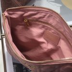 Dior Lagre Dior Caro Daily Pouch Pink/Black/Blue/Brown For Women‎ 12in/30cm CD S5086UWHC_M81P