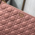 Dior Lagre Dior Caro Daily Pouch Pink/Black/Blue/Brown For Women‎ 12in/30cm CD S5086UWHC_M81P