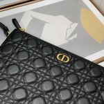 Dior Lagre Dior Caro Daily Pouch Pink/Black/Blue/Brown For Women‎ 12in/30cm CD S5086UWHC_M81P