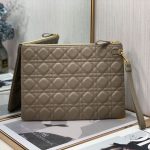 Dior Lagre Dior Caro Daily Pouch Pink/Black/Blue/Brown For Women‎ 12in/30cm CD S5086UWHC_M81P