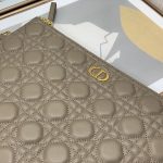 Dior Lagre Dior Caro Daily Pouch Pink/Black/Blue/Brown For Women‎ 12in/30cm CD S5086UWHC_M81P