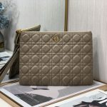 Dior Lagre Dior Caro Daily Pouch Pink/Black/Blue/Brown For Women‎ 12in/30cm CD S5086UWHC_M81P