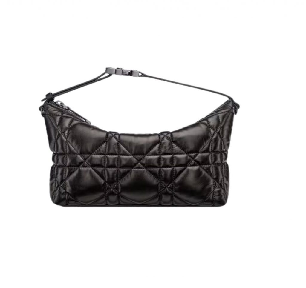Medium Diortravel Nomad Pouch