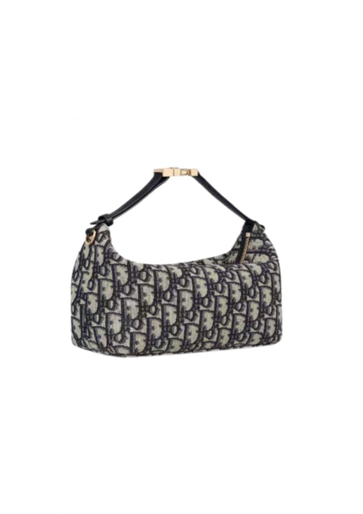 Medium Diortravel Nomad Pouch