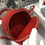 Dior Mini Dior Backpack Heart White/Red Black For Women‎ 8 in/ 21 cm CD