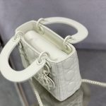 Dior Mini Lady Dior Bag Black/Jade Green/White/Beige For Women 6.5in/17cm