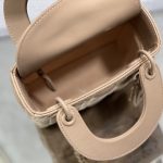 Dior Mini Lady Dior Bag Black/Jade Green/White/Beige For Women 6.5in/17cm