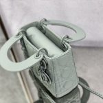 Dior Mini Lady Dior Bag Black/Jade Green/White/Beige For Women 6.5in/17cm