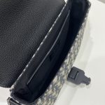 Dior Mini Saddle Bag With Strap Black For Women 9in/23cm 1ADPO049YKS_H27E
