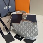 Dior Saddle Bag Grey/Black For Women‎ 10in/26cm CD 1ADPO093CDP_H42E