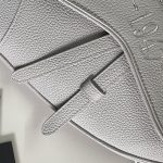 Dior Saddle Bag White/Black/Grey For Women‎ 10in/26cm CD