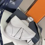Dior Saddle Bag White/Black/Grey For Women‎ 10in/26cm CD