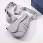 Dior Saddle Bag White/Black/Grey For Women‎ 10in/26cm CD