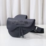 Dior Saddle Bag White/Black/Grey For Women‎ 10in/26cm CD