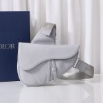 Dior Saddle Bag White/Black/Grey For Women‎ 10in/26cm CD