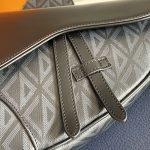 Dior Saddle Bag Grey/Black For Women‎ 10in/26cm CD 1ADPO093CDP_H42E