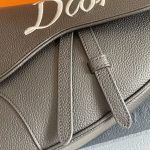 Dior Saddle Bag Black For Women‎ 11in/28.5cm CD