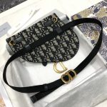 Dior Saddle Belt Bag Beige For Women‎ 7.5in/ 20cm CD