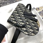 Dior Saddle Belt Bag Beige For Women‎ 7.5in/ 20cm CD
