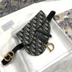Dior Saddle Belt Bag Beige For Women‎ 7.5in/ 20cm CD