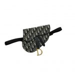 Dior Saddle Belt Bag Beige For Women‎ 7.5in/ 20cm CD