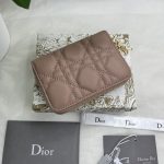 Dior Small Lady Dior Voyageur Coin Purse Black/Light Pink/Blue For Women 4.5in/11cm S0985ONMJ_M900