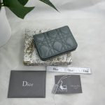 Dior Small Lady Dior Voyageur Coin Purse Black/Light Pink/Blue For Women 4.5in/11cm S0985ONMJ_M900