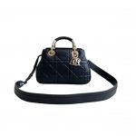 Dior The Lady 95.22 Bag Black/White/Grey/Green For Women 7.5in/ 19cm