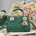 Dior The Lady 95.22 Bag Black/White/Grey/Green For Women 7.5in/ 19cm