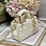 Dior The Lady 95.22 Bag Black/White/Grey/Green For Women 7.5in/ 19cm