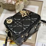 Dior The Lady 95.22 Bag Black/White/Grey/Green For Women 7.5in/ 19cm