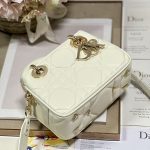 Dior The Lady 95.22 Bag Black/White/Grey/Green For Women 7.5in/ 19cm