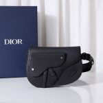 Dior The Saddle Pouch Black For Women‎ 9.5in/24cm CD