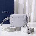 Dior The Saddle Pouch With Border Black/Grey For Women‎ 9.5in/24cm CD