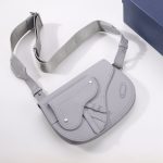 Dior The Saddle Pouch With Border Black/Grey For Women‎ 9.5in/24cm CD