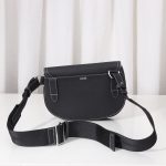 Dior The Saddle Pouch With Border Black/Grey For Women‎ 9.5in/24cm CD