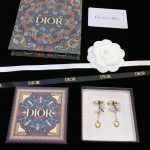 Dior Butterfly Earrings Gold Tone For Women