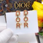Dior Diamond Tassel Earrings Red For Women