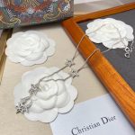 Dior Star Necklace Silver For Women