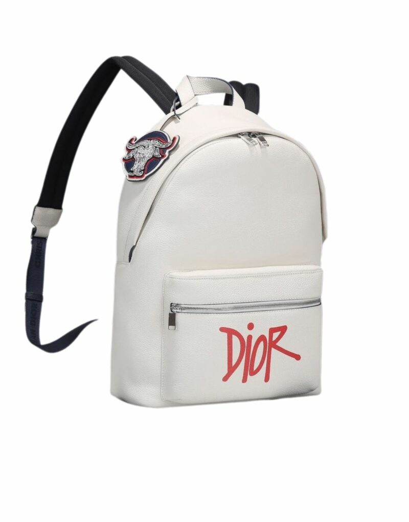 Dior Rider Backpack White For Men 16.5 in/42 cm