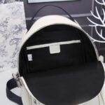 Dior Mini Rider Sling Bag White For Men 12.5 in/32 cm