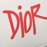 Dior Mini Rider Sling Bag White For Men 12.5 in/32 cm