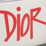 Dior Rider Backpack White For Men 16.5 in/42 cm