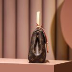 Louis Vuitton Cluny Mini Brown For Women 20cm / 7.9in M46055